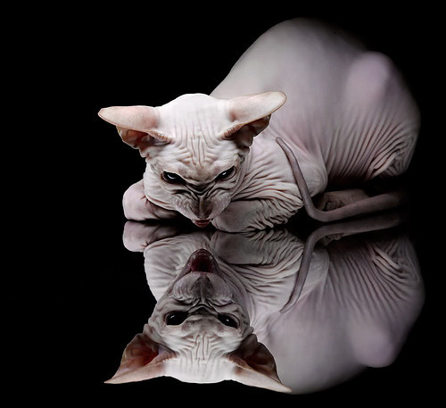 勇士设立“战术创新实验室”,邀请外部专家参与建模,勇士战术手册