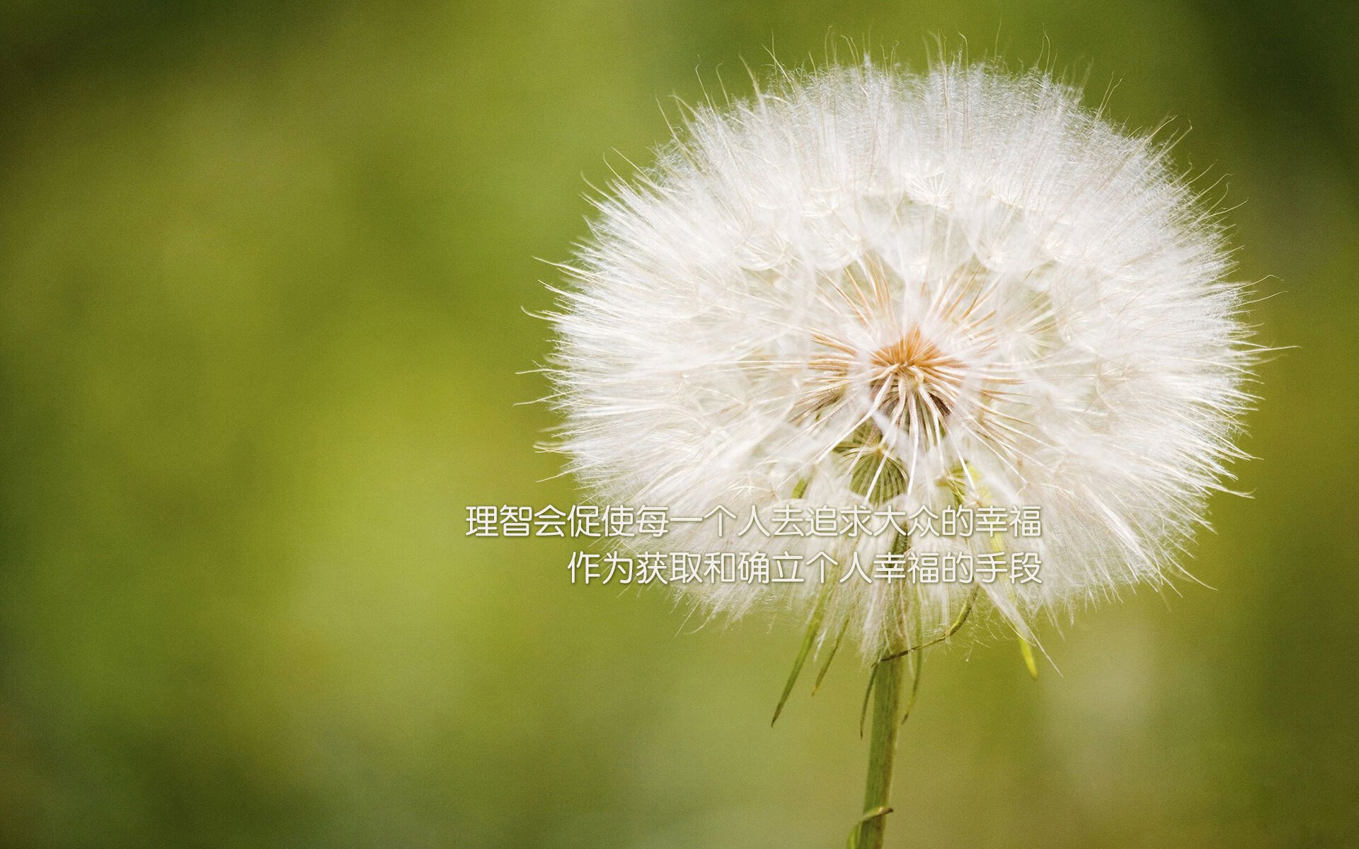 姆巴佩续约巴黎圣日耳曼至2026年，姆巴佩签约巴黎