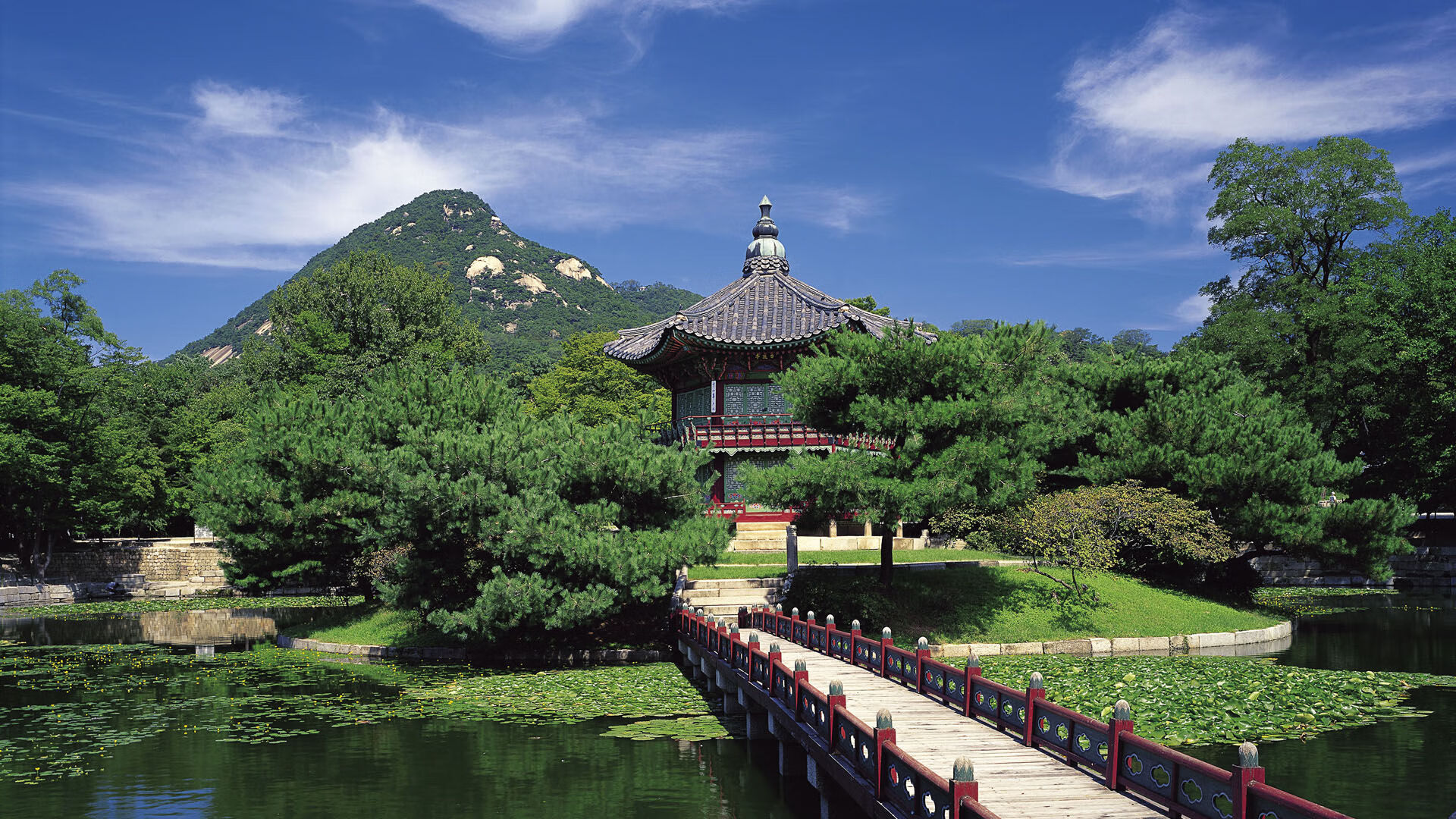 伊朗球队力克对手，晋级前景一片美好，伊朗和伊拉克足球队