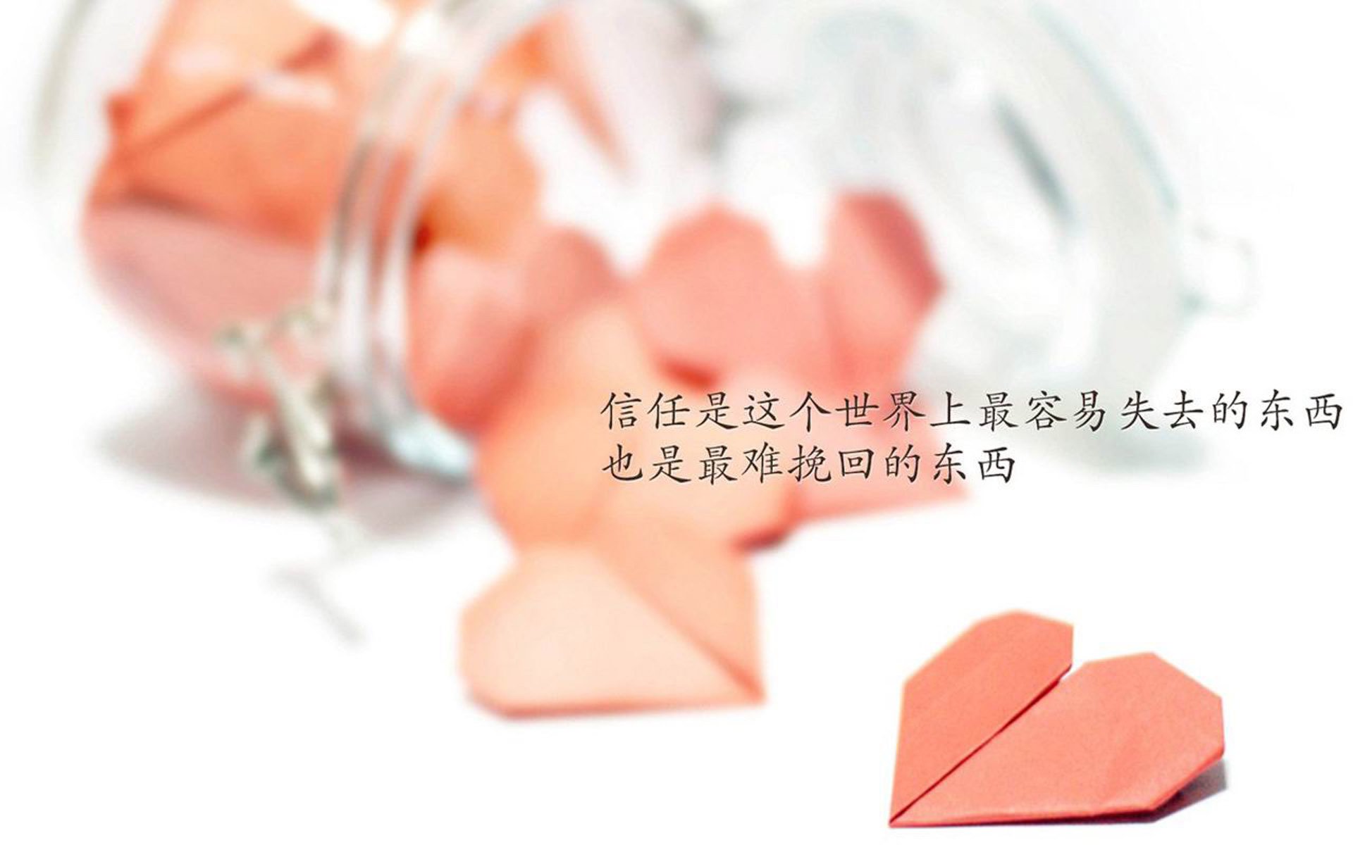 开云体育APP下载-佛罗伦萨球员大胆发言，表达夺冠决心，佛罗伦萨球队主场