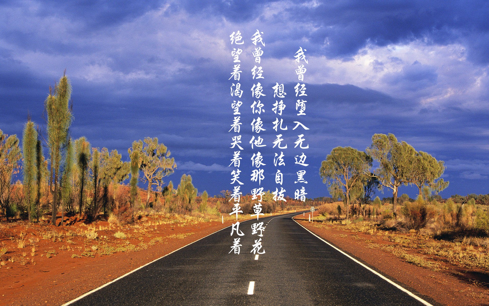 爱尔兰队主场力克科索沃，扭转晋级形势，爱尔兰 科克