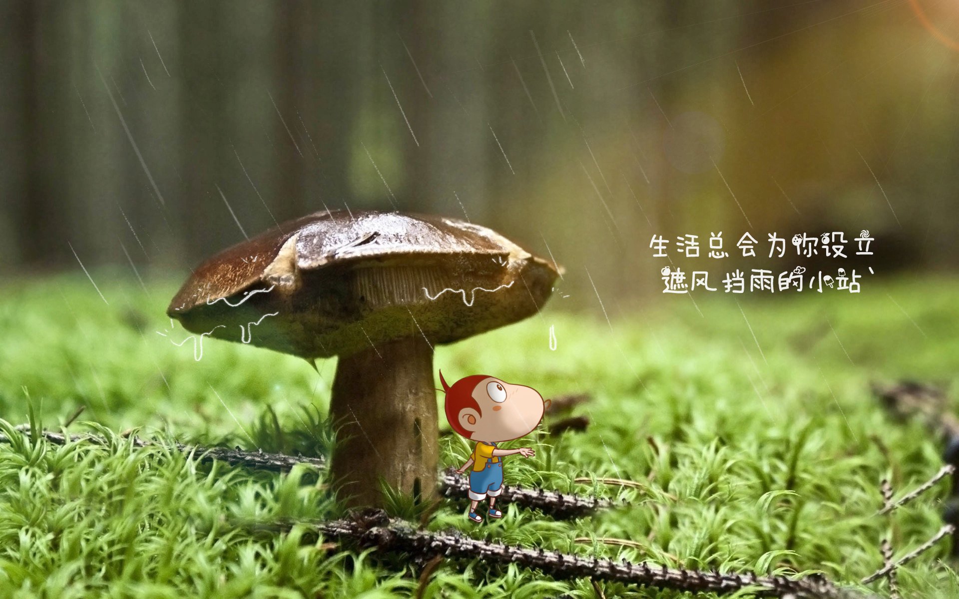 城市马拉松公益主题深入人心，城市马拉松活动策划方案