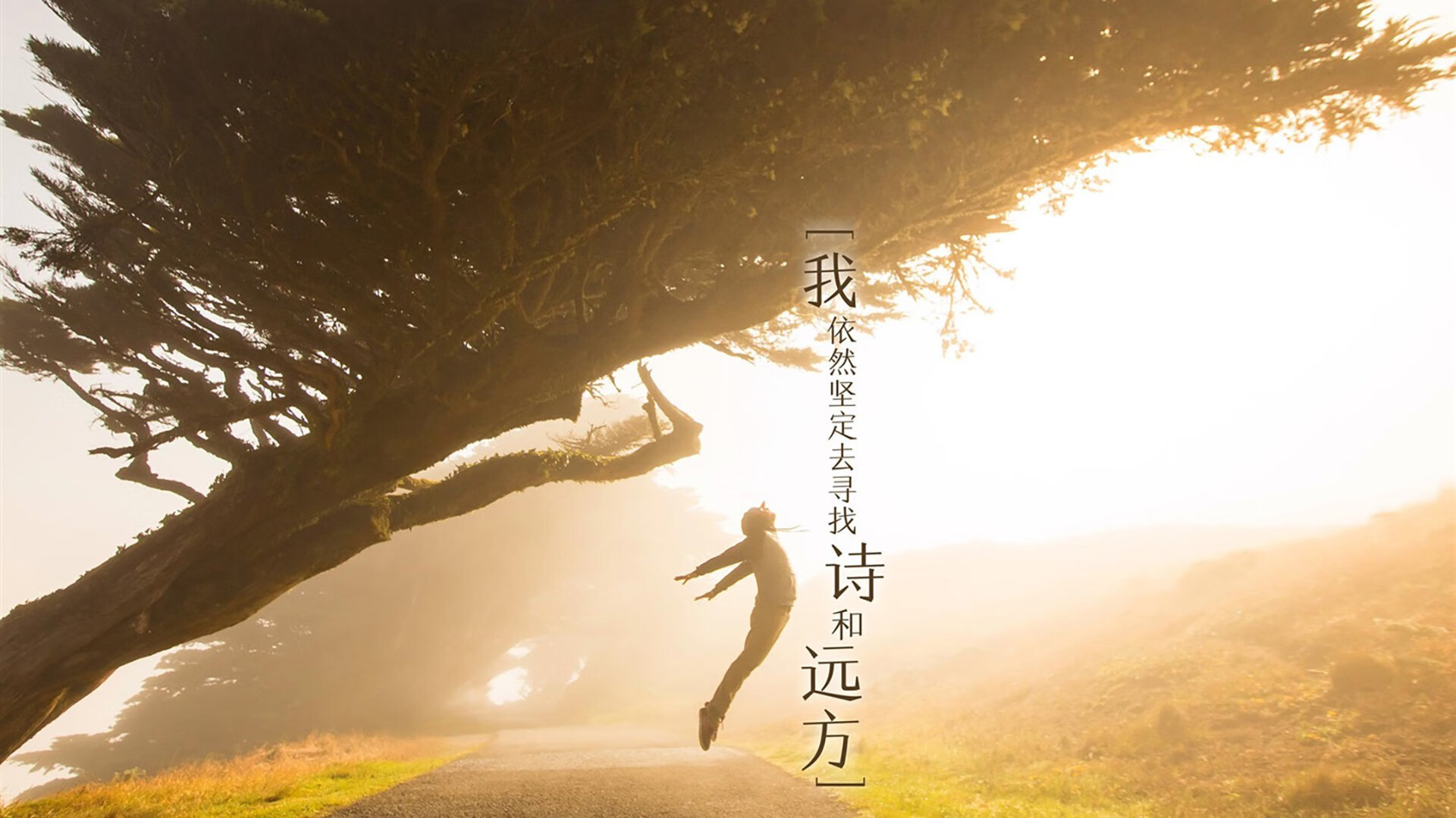 CBA推动俱乐部青训基地建设提升青训体系质量，cba球队青训几级梯队