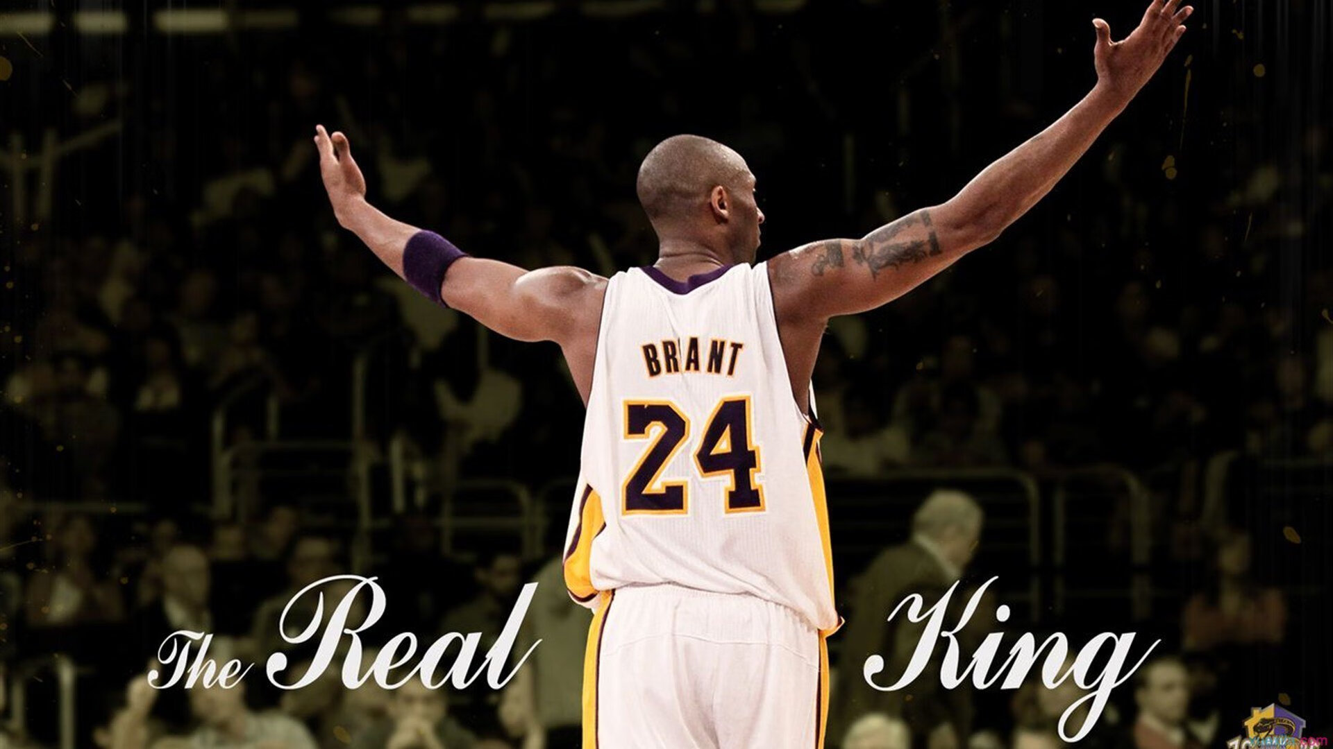 森林狼试验“球迷投票暂停挑战”制度，森林狼 球员